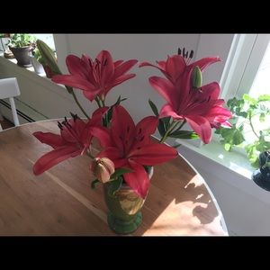 Meet your Posher, Bodil